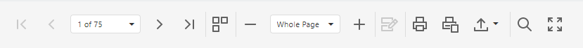 The preview toolbar of a custom report.