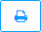 Print icon.